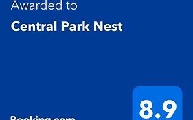 Central Park Nest